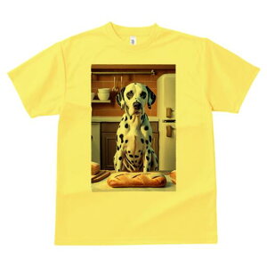 _VA TVc  j[NfUCfB[X t@  t vg lJWA 킢 lԗp Mtg I ҏ΍ p _VA `[Y