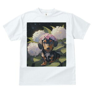 _bNXth TVc  j[NfUCY LbY t@  t vg lJWA 킢 lԗp Mtg I ҏ΍  _bNXth AWTC Ԋ 