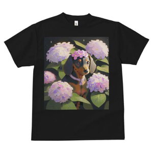 _bNXth TVc  j[NfUCfB[X t@  t vg lJWA 킢 lԗp Mtg I ҏ΍  _bNXth AWTC z t