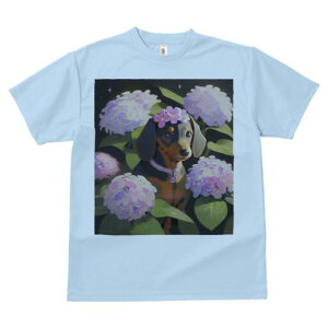 _bNXth TVc  j[NfUCfB[X t@  t vg lJWA 킢 lԗp Mtg I ҏ΍  _bNXth AWTC z t