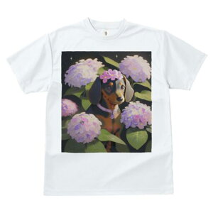 _bNXth TVc  j[NfUCY LbY t@  t vg lJWA 킢 lԗp Mtg I ҏ΍  _bNXth AWTC z t