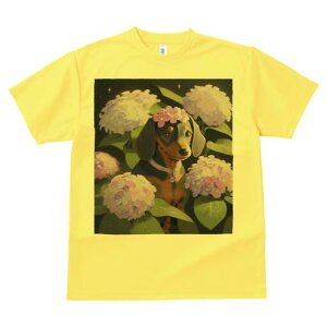 _bNXth TVc  j[NfUCY LbY t@  t vg lJWA 킢 lԗp Mtg I ҏ΍  _bNXth AWTC z t