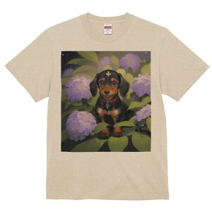 _bNXth TVc  j[NfUCfB[X t@  t vg lJWA 킢 lԗp Mtg I ҏ΍ AWTC _bNXth  