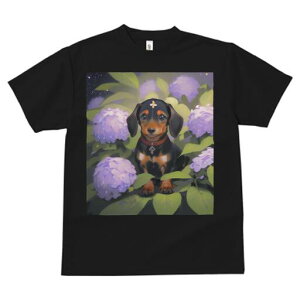 _bNXth TVc  j[NfUCfB[X t@  t vg lJWA 킢 lԗp Mtg I ҏ΍ AWTC _bNXth  