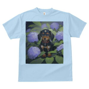 _bNXth TVc  j[NfUCY LbY t@  t vg lJWA 킢 lԗp Mtg I ҏ΍ AWTC _bNXth  