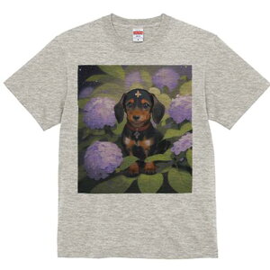 _bNXth TVc  j[NfUCY LbY t@  t vg lJWA 킢 lԗp Mtg I ҏ΍ AWTC _bNXth  