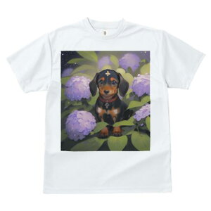 _bNXth TVc  j[NfUCfB[X t@  t vg lJWA 킢 lԗp Mtg I ҏ΍ AWTC _bNXth  