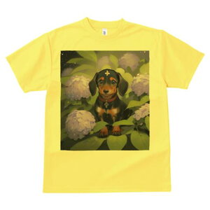 _bNXth TVc  j[NfUCY LbY t@  t vg lJWA 킢 lԗp Mtg I ҏ΍ AWTC _bNXth  