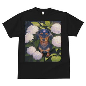 _bNXth TVc  j[NfUCY LbY t@  t vg lJWA 킢 lԗp Mtg I ҏ΍ AWTC _bNXth  A