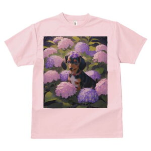 _bNXth TVc  j[NfUCfB[X t@  t vg lJWA 킢 lԗp Mtg I ҏ΍  _bNXth AWTC