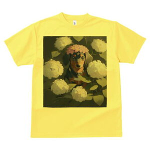 _bNXth TVc  j[NfUCfB[X t@  t vg lJWA 킢 lԗp Mtg I ҏ΍  _bNXth AWTC Ԋ