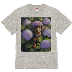 _bNXth TVc  j[NfUCfB[X t@  t vg lJWA 킢 lԗp Mtg I ҏ΍  _bNXth AWTC Ԋ A