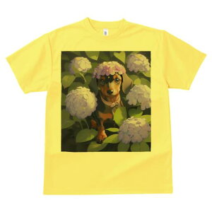 _bNXth TVc  j[NfUCY LbY t@  t vg lJWA 킢 lԗp Mtg I ҏ΍  _bNXth AWTC Ԋ A