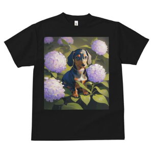 _bNXth TVc  j[NfUCY LbY t@  t vg lJWA 킢 lԗp Mtg I ҏ΍ AWTC _bNXth  A