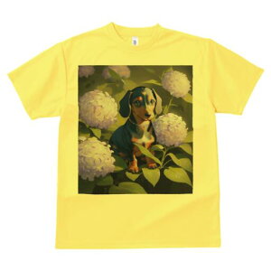 _bNXth TVc  j[NfUCfB[X t@  t vg lJWA 킢 lԗp Mtg I ҏ΍ AWTC _bNXth  A