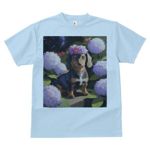 _bNXth TVc  j[NfUCfB[X t@  t vg lJWA 킢 lԗp Mtg I ҏ΍ AWTC _bNXth Ԋ lbNX 