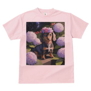 _bNXth TVc  j[NfUCY LbY t@  t vg lJWA 킢 lԗp Mtg I ҏ΍ AWTC _bNXth Ԋ lbN