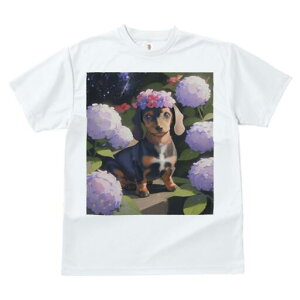 _bNXth TVc  j[NfUCfB[X t@  t vg lJWA 킢 lԗp Mtg I ҏ΍ AWTC _bNXth Ԋ lbNX 