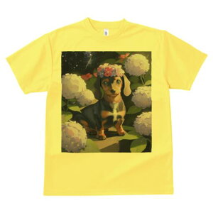 _bNXth TVc  j[NfUCY LbY t@  t vg lJWA 킢 lԗp Mtg I ҏ΍ AWTC _bNXth Ԋ lbN