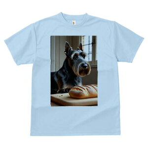 XReBbVeA TVc  j[NfUCfB[X t@  t vg lJWA 킢 lԗp Mtg I ҏ΍ p XReBbVeA Hp