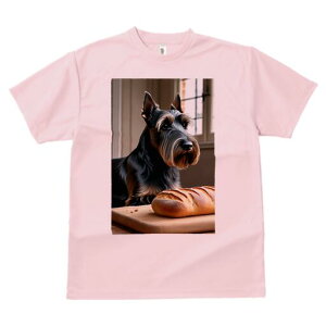 XReBbVeA TVc  j[NfUCfB[X t@  t vg lJWA 킢 lԗp Mtg I ҏ΍ p XReBbVeA Hp