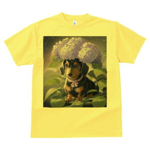 _bNXth TVc  j[NfUCfB[X t@  t vg lJWA 킢 lԗp Mtg I ҏ΍  _bNXth AWTC {