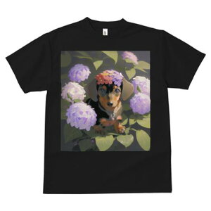 _bNXth TVc  j[NfUCfB[X t@  t vg lJWA 킢 lԗp Mtg I ҏ΍  _bNXth AWTC