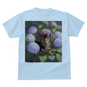 _bNXth TVc  j[NfUCfB[X t@  t vg lJWA 킢 lԗp Mtg I ҏ΍  _bNXth AWTC