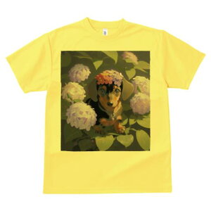 _bNXth TVc  j[NfUCY LbY t@  t vg lJWA 킢 lԗp Mtg I ҏ΍  _bNXth AWTC