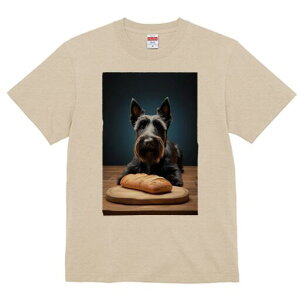 XReBbVeA TVc  j[NfUCfB[X t@  t vg lJWA 킢 lԗp Mtg I ҏ΍ p XReBbVeA ؐ