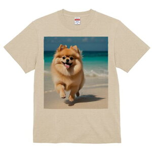 |jA TVc  j[NfUCfB[X t@  t vg lJWA 킢 lԗp Mtg I ҏ΍ C |jA l g