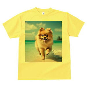 |jA TVc  j[NfUCfB[X t@  t vg lJWA 킢 lԗp Mtg I ҏ΍ r[` |jA C  l