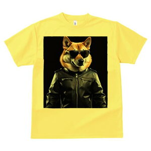 Č TVc  j[NfUCfB[X t@  t vg lJWA 킢 lԗp Mtg I ҏ΍ vW Č TOX