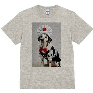 _VA TVc  j[NfUCfB[X t@  t vg lJWA 킢 lԗp Mtg I ҏ΍ Ch _VA Xq ԂlN^C 