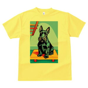 XReBbVeA TVc  j[NfUCfB[X t@  t vg lJWA 킢 lԗp Mtg I ҏ΍ ֎q XReBbVeA