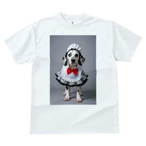 _VA TVc  j[NfUCfB[X t@  t vg lJWA 킢 lԗp Mtg I ҏ΍ Ch _VA RX`[ {