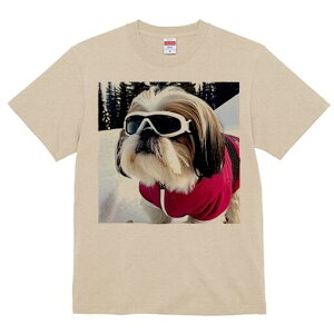 V[Y[ TVc  j[NfUCY LbY t@  t vg lJWA 킢 lԗp Mtg I ҏ΍ S[O V[Y[ XL[EFA  ~