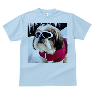 V[Y[ TVc  j[NfUCY LbY t@  t vg lJWA 킢 lԗp Mtg I ҏ΍ S[O V[Y[ XL[EFA  ~