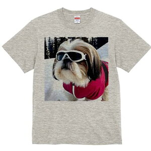 V[Y[ TVc  j[NfUCfB[X t@  t vg lJWA 킢 lԗp Mtg I ҏ΍ S[O V[Y[ XL[EFA  ~