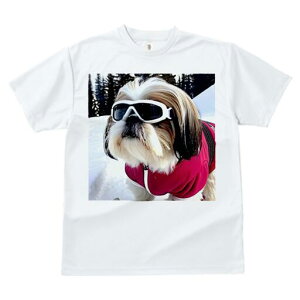 V[Y[ TVc  j[NfUCfB[X t@  t vg lJWA 킢 lԗp Mtg I ҏ΍ S[O V[Y[ XL[EFA  ~