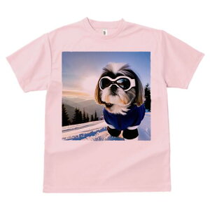 V[Y[ TVc  j[NfUCfB[X t@  t vg lJWA 킢 lԗp Mtg I ҏ΍ XL[ V[Y[ R XL[EFA S[O