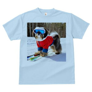 V[Y[ TVc  j[NfUCfB[X t@  t vg lJWA 킢 lԗp Mtg I ҏ΍ XL[ V[Y[  ~ XL[EFA