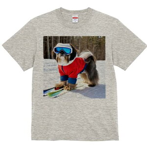 V[Y[ TVc  j[NfUCfB[X t@  t vg lJWA 킢 lԗp Mtg I ҏ΍ XL[ V[Y[  ~ XL[EFA