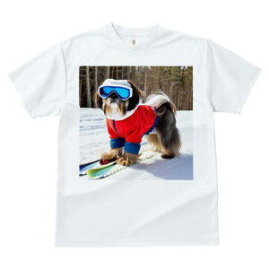 V[Y[ TVc  j[NfUCfB[X t@  t vg lJWA 킢 lԗp Mtg I ҏ΍ XL[ V[Y[  ~ XL[EFA