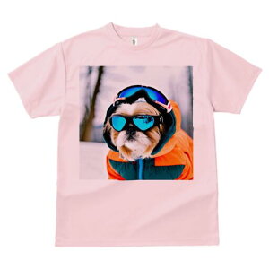 V[Y[ TVc  j[NfUCY LbY t@  t vg lJWA 킢 lԗp Mtg I ҏ΍ S[O V[Y[ XL[EFA