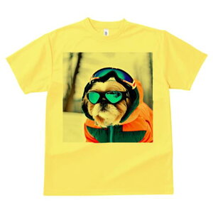 V[Y[ TVc  j[NfUCfB[X t@  t vg lJWA 킢 lԗp Mtg I ҏ΍ S[O V[Y[ XL[EFA