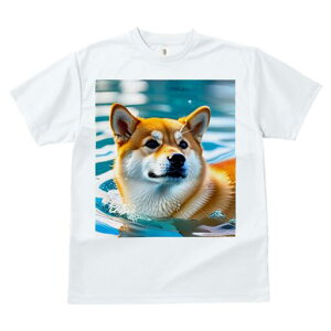 Č TVc  j[NfUCfB[X t@  t vg lJWA 킢 lԗp Mtg I ҏ΍  Č  V