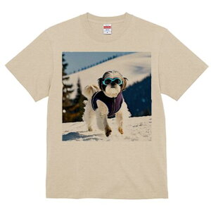 V[Y[ TVc  j[NfUCfB[X t@  t vg lJWA 킢 lԗp Mtg I ҏ΍  V[Y[ ~ R XL[EFA