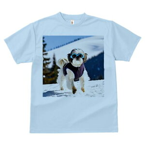 V[Y[ TVc  j[NfUCfB[X t@  t vg lJWA 킢 lԗp Mtg I ҏ΍  V[Y[ ~ R XL[EFA