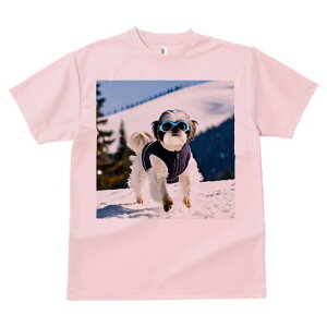 V[Y[ TVc  j[NfUCfB[X t@  t vg lJWA 킢 lԗp Mtg I ҏ΍  V[Y[ ~ R XL[EFA